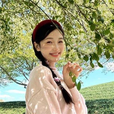宝藏寻踪